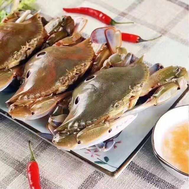 东山岛海捕红星梭子蟹 三点蟹 三眼蟹母蟹 新鲜活冻,水产肉类/新鲜蔬果/熟食,黄金蟹,淘宝优惠券,粉丝福利购,淘宝优惠卷
