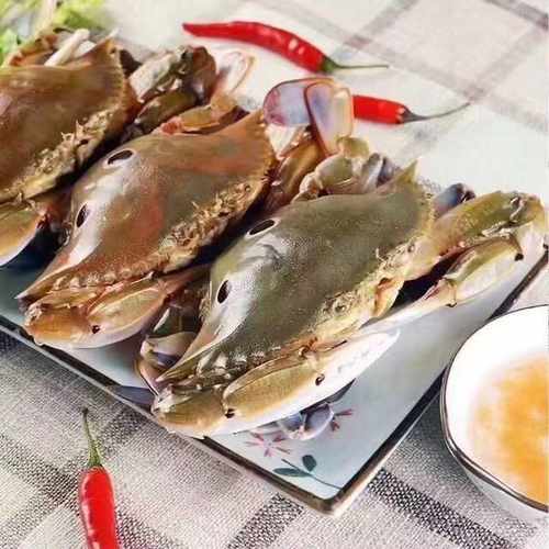 东山岛海捕红星梭子蟹 三点蟹 三眼蟹母蟹 新鲜活冻