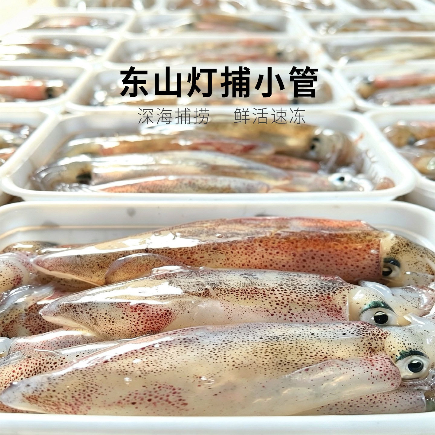 东山活冻小管 一口管 灯捕小管 海捕小鱿鱼  小海兔400g/2盒总800