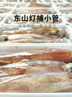 东山活冻小管 一口管 灯捕小管 海捕小鱿鱼  小海兔400g/2盒总800