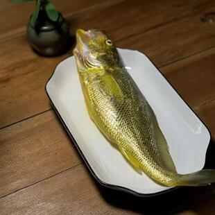 深海大黄鱼  顺丰冷链新鲜活冻 无土腥味 野化黄花鱼 也化大黄鱼