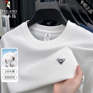 中年爸爸装 t恤春秋新款 宽松百搭上衣 纯棉透气圆领长袖 啄木鸟男士