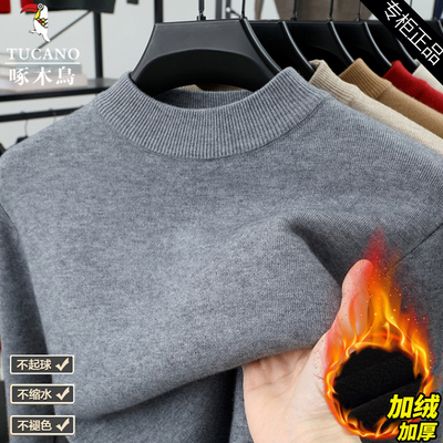 啄木鸟毛衣男冬季2024新款半高领加绒加厚中年爸爸羊毛衫针织上衣