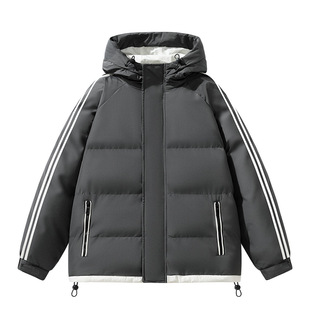 冬季晋江新款男士爆款棉袄棉服两条杠衣御寒保暖休闲棉衣外套