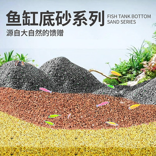 鱼缸造景沙底砂底纱雨淋沙溪流砂水草砂南美缸细粗沙水族箱溪流沙