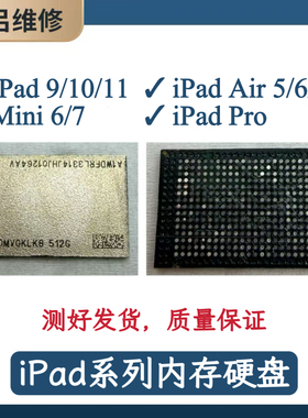 IpadAIR5/6/硬盘mini6/7 iPadPro ipad9/10/11 256/512g 1TB内存