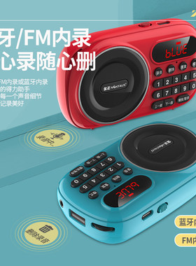 迷你便携蓝牙录音插卡音箱金正