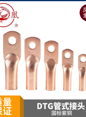 凤凰金具DTG-16MM铜鼻子管式铜接头16平方紫铜国标接线端子