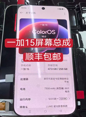 前进适用OnePlus 15屏幕总成一加15屏幕总成 1+15液晶显示内外屏