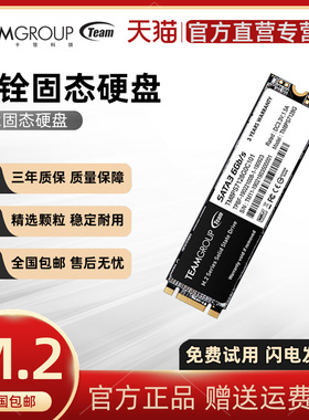 十铨 128G 512G 1TB M.2 2280 SATA固态硬盘NGFF台式M2笔记本SSD