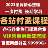 各大平台全网知识付费课程合集2023认知提升自律充电精品网课教程