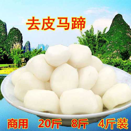 去皮马蹄2斤新鲜包子料火食材