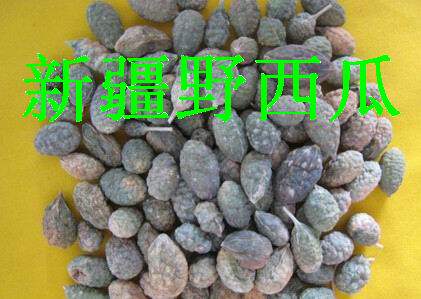 新疆发货野生籽小西瓜野西瓜原粒干中药材泡酒外敷腰腿关节500g包