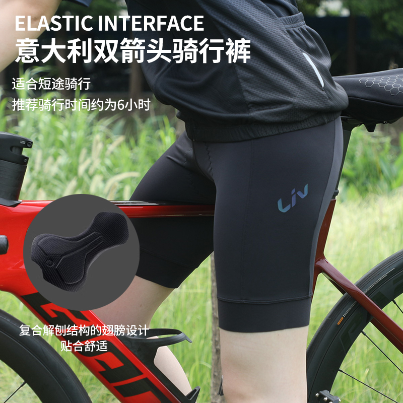 Giant/捷安特骑行短裤公路车IMPORT系列双箭头款裤垫透气舒适面料