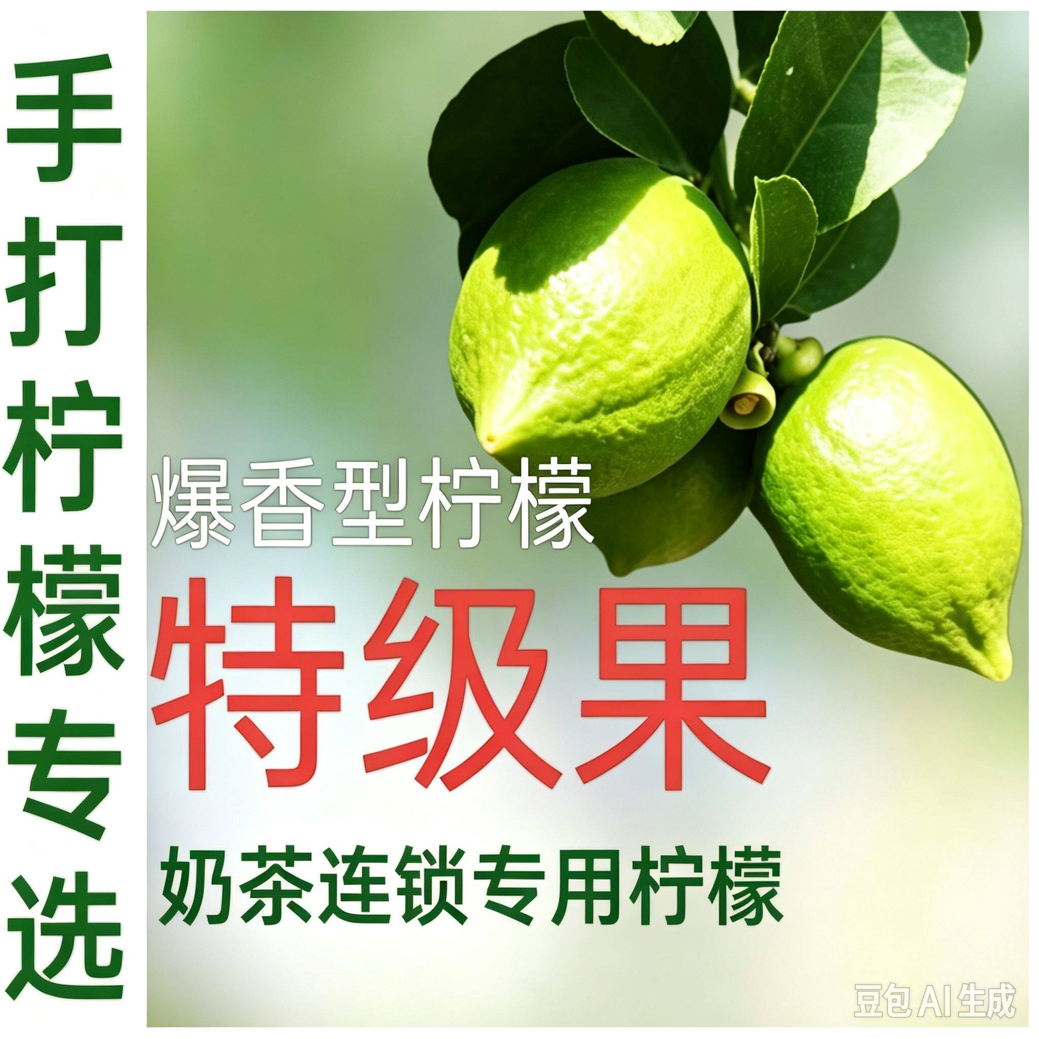 广西香水柠檬批发一级果二级果新鲜现摘专供奶茶店无籽柠檬