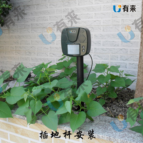 超声波驱猫器赶猫超声波驱狗器自动感应驱赶狗驱鸟驱兽器