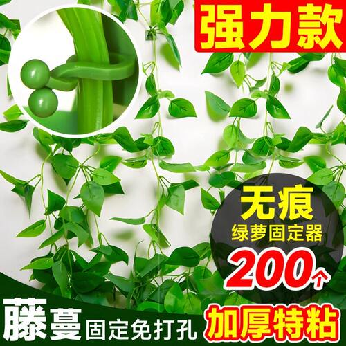 绿萝爬墙固定器绿植攀神