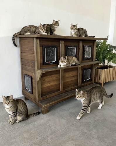 猫屋户外流浪猫窝防雨防寒防晒猫房子抗寒保暖木制室外内猫别墅