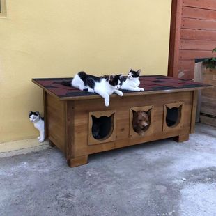 保暖室外猫窝 流浪猫屋猫房室外猫房宠物猫房防晒防水猫窝户外冬季