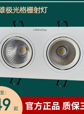 三雄极光LED双头格栅射灯星彩C0B方形射灯2*6W 2*10W开孔75*155mm