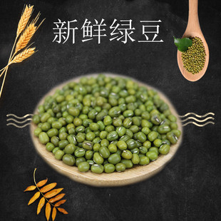明绿豆夏天绿豆汤明绿豆五谷杂粮 新鲜绿豆煮粥 绿豆 五斤装