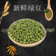 明绿豆夏天绿豆汤明绿豆五谷杂粮 新鲜绿豆煮粥 绿豆 五斤装