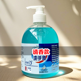 洗手液旅行户外旅行携带清洁大容量清香型瓶装