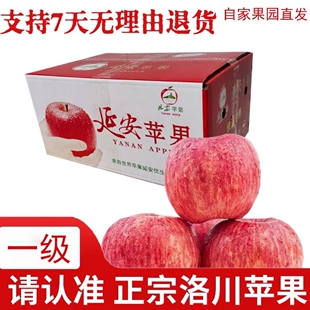 正宗陕西陕北延安山地苹果洛川红富士无农药不打蜡孕幼放心吃冰糖