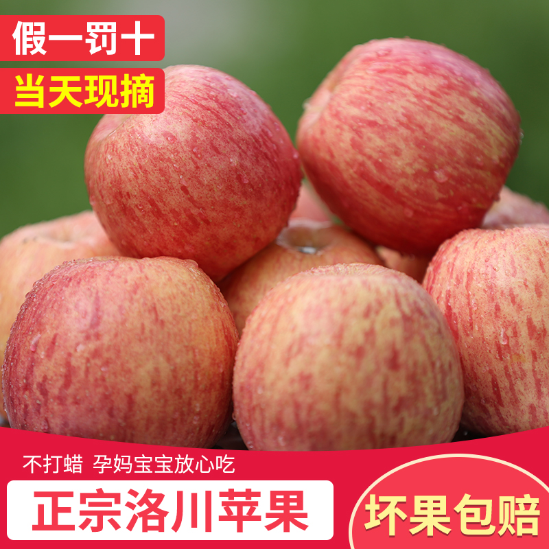 洛川苹果当季新鲜苹果特级整箱