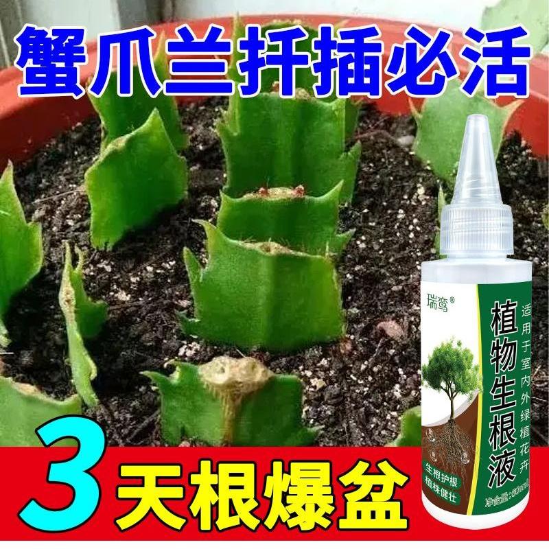 生根药水复活液枯树再生液【强力生根】蟹爪兰专生根剂生根壮苗剂