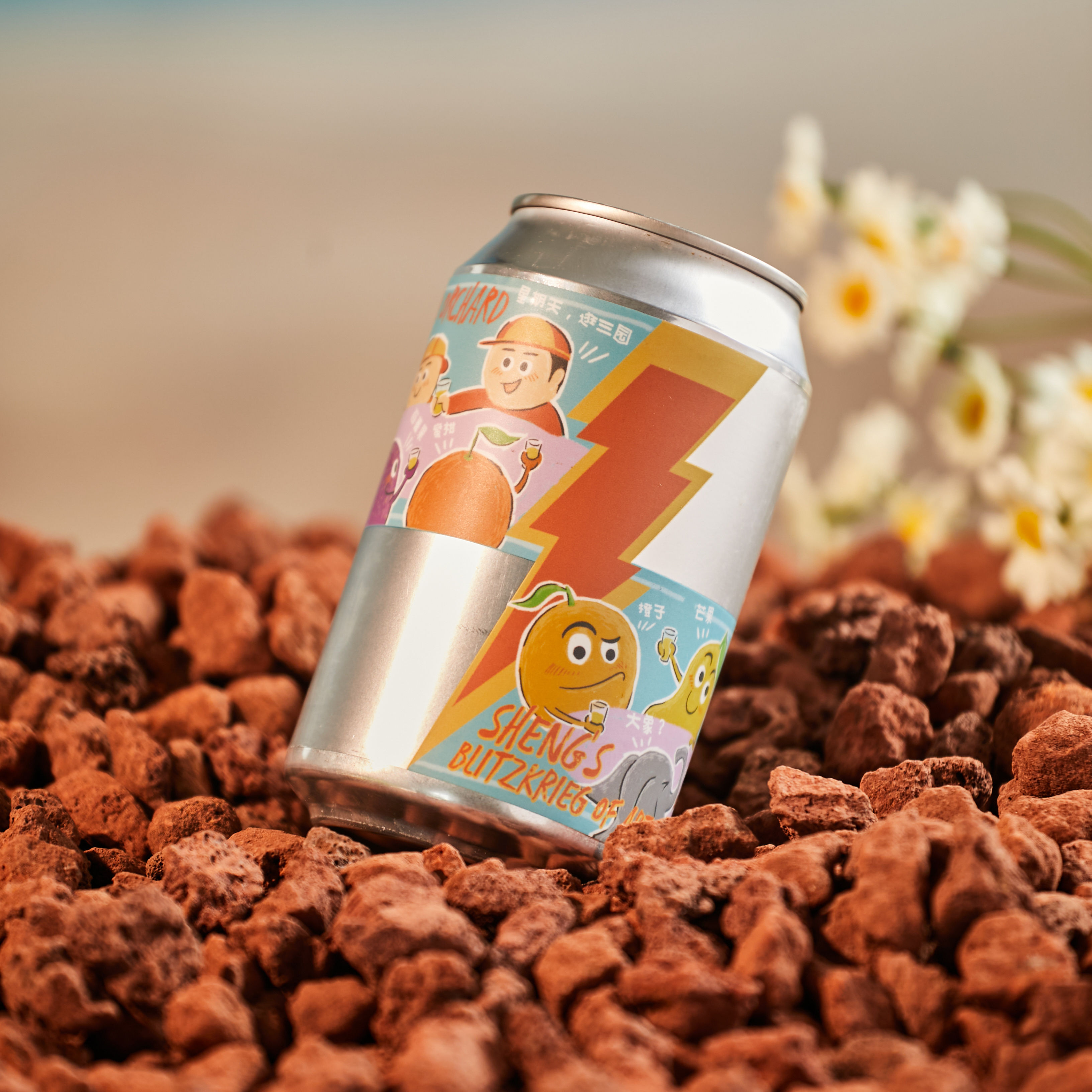 Sheng Craft Beer中国山乘 逛三园-果缤纷 啤酒听装330ml