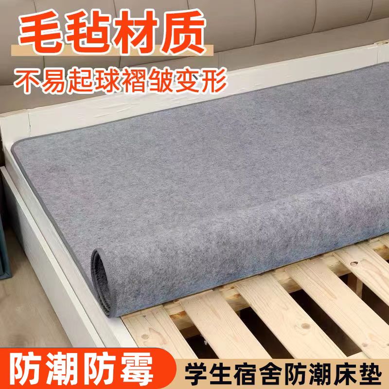 防潮垫床上用吸湿隔脏榻榻米床垫
