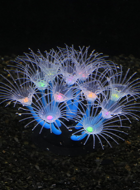 鱼缸饰品SH37装饰品仿真新款太阳花珊瑚造景水族用品荧光绿色环保
