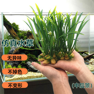 中景水族箱人工装饰植物仿真水草摆件鱼缸植物水草水族箱草装饰