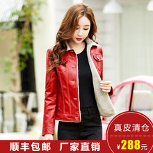 加绒加厚外套 羊羔绒皮毛一体修身 2019春秋新款 真皮海宁皮衣女短款
