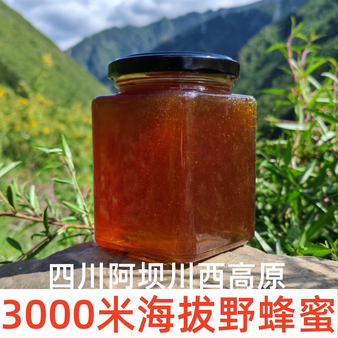 蜂蜜纯正天然土蜂蜜阿坝高原正宗野生不喂糖无添加生蜜2026年新蜜