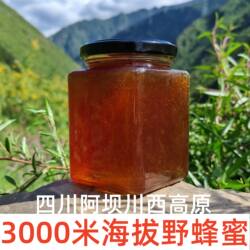 蜂蜜纯正天然土蜂蜜阿坝高原正宗野生不喂糖无添加生蜜2026年新蜜