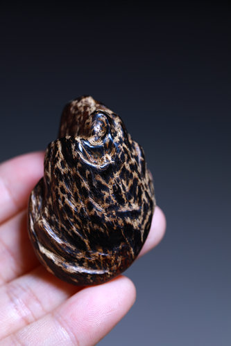 沉水达拉干满瘤疤沉香挂件13.08克沉香原木素牌