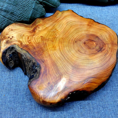 太行崖柏陈化料根雕底座