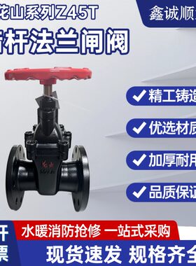 江苏花山法兰球铁硬密封闸阀铜杆