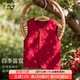 宝宝马甲红色过年喜庆四季 婴幼儿童纯棉马夹坎肩背心上衣拜年服 款