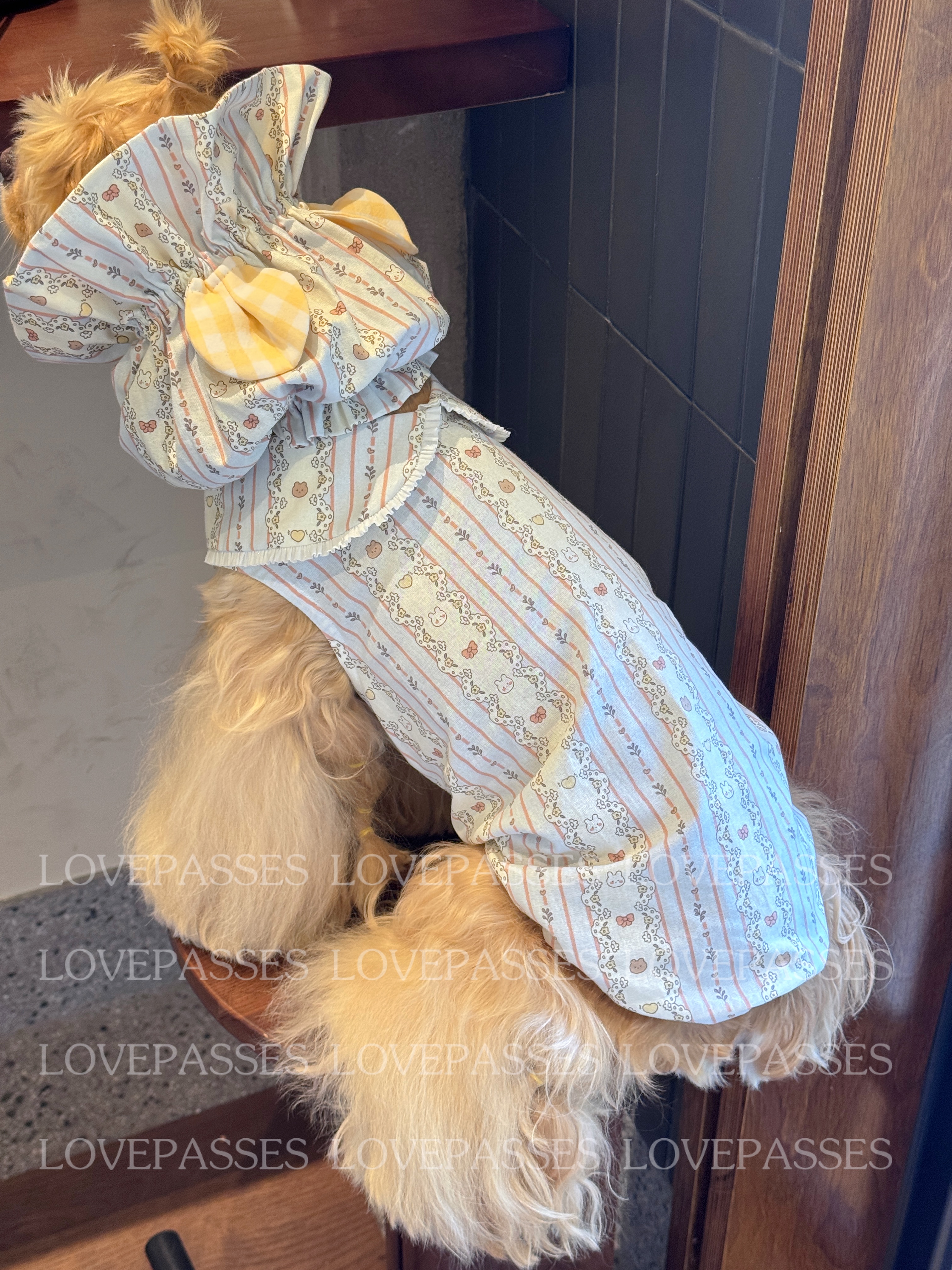 LOVEPASSES 韩风宠物狗狗衣服泰迪比熊博美可卡按扣卡通开衫背心