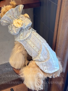 LOVEPASSES 韩风宠物狗狗衣服泰迪比熊博美可卡按扣卡通开衫背心