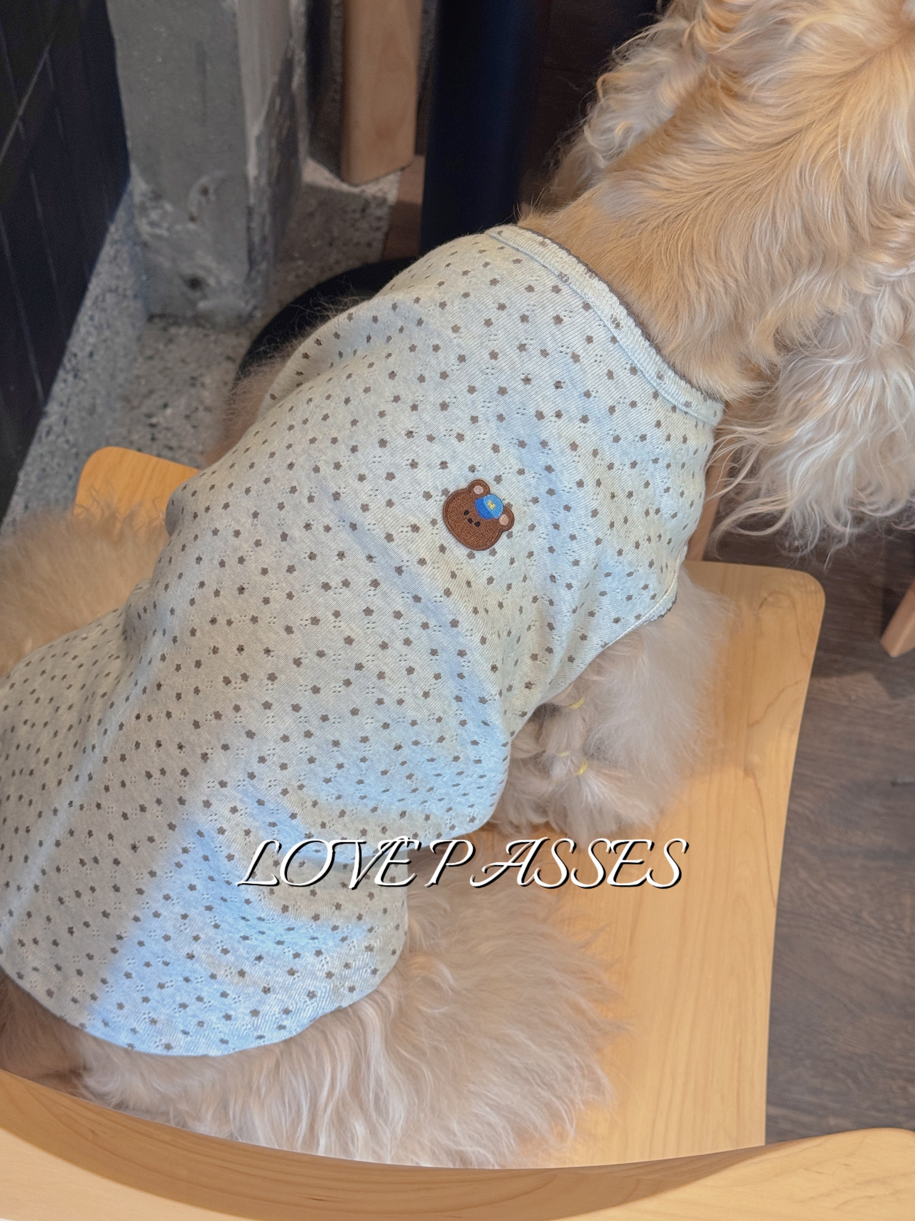 现货｜LOVEPASSES 宠物狗秋冬进口针织灰咖色星星打底衫无袖舒适,宠物/宠物食品及用品,宠物用品定制周边,淘宝优惠券,粉丝福利购,淘宝优惠卷