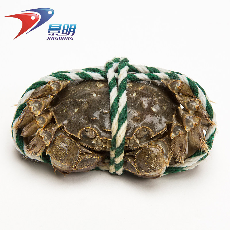 Jingming yellow river delta Crabs goods in stock Gift box Fresh Crab 10 Pcs Female crabs 2 two Male crab 3 twoin the Aquatic meat/Fresh fruits and vegetables/Cooked , Seafood/Aquatic/Product , Crabs , Crabs  category - from Buy2taobao.com to provide professional Taobao agent buy service