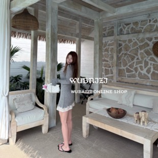 面料升级 T恤连衣裙女 25春夏新款 长袖 2529 蕾丝修身 WUBAIZI