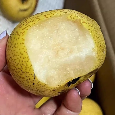 北京平谷新鲜细皮小酸梨