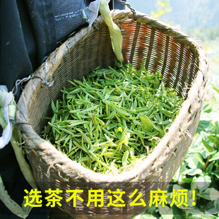 2024新茶春茶迎客松毛峰绿茶茶叶绿茶明前毛尖竹叶茶125克*2