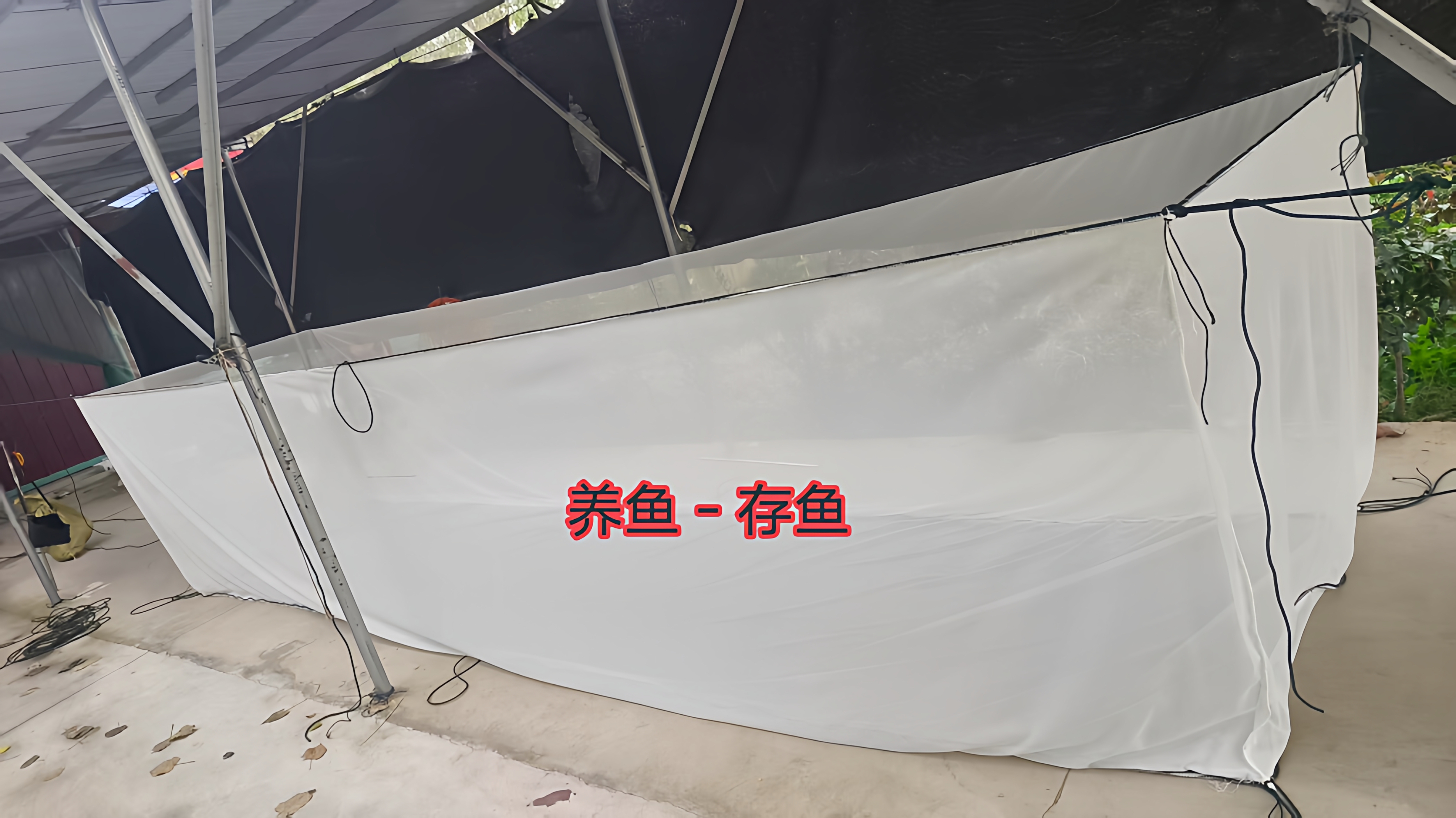 尼龙不伤鱼无结养殖网箱鱼苗育苗泥鳅黄鳝养鱼存鱼网箱柔软耐用