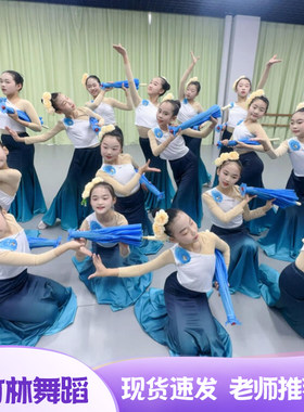小兰花奖雨竹林演出服民族舞